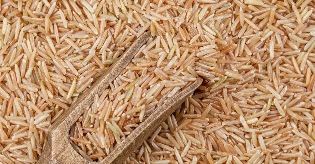 Detailed close-up of organic brown rice grains with a wooden scoop showcasing texture and natural colors.