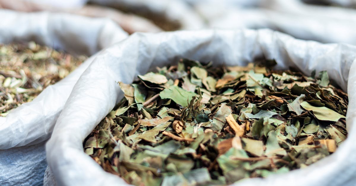 Close-up of dried herbal leaves in bags at a São Paulo market, showcasing natural textures.