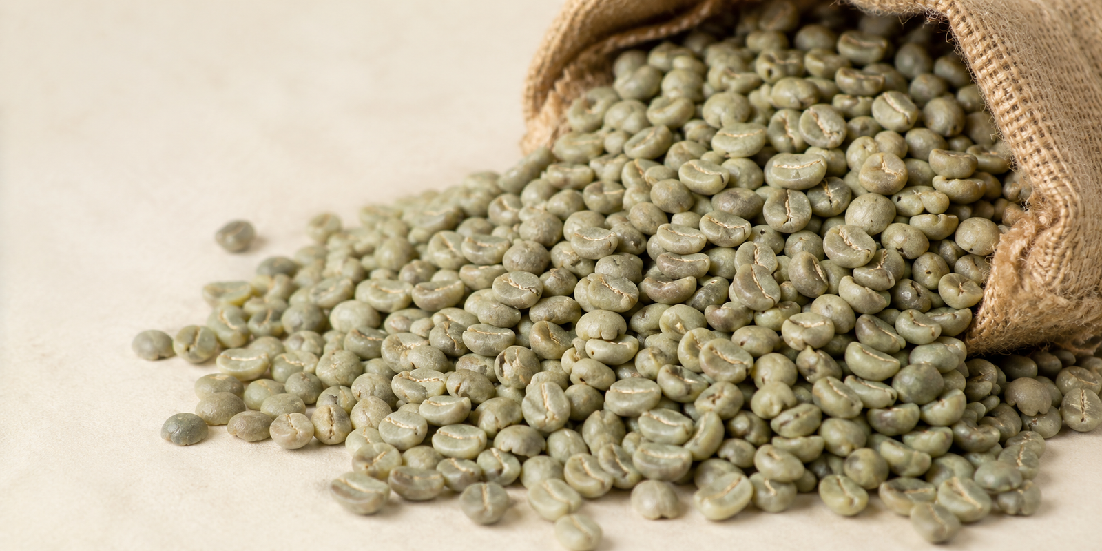 Indian Robusta Parchment A Kaapi Royale washed green coffee beans