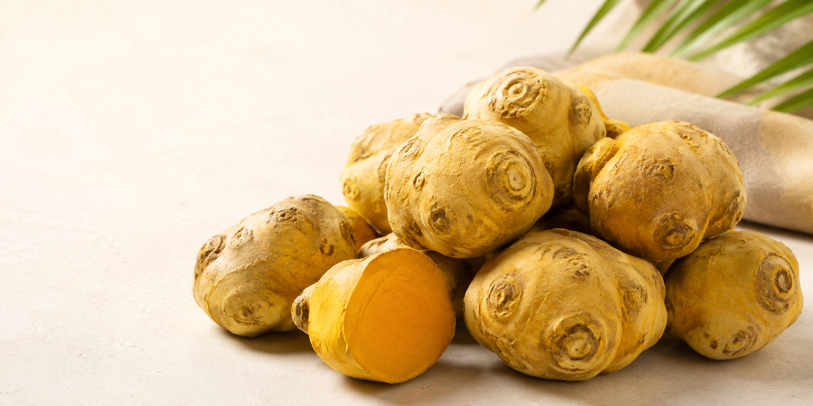 Rajapuri turmeric bulb variety from Maharashtra
