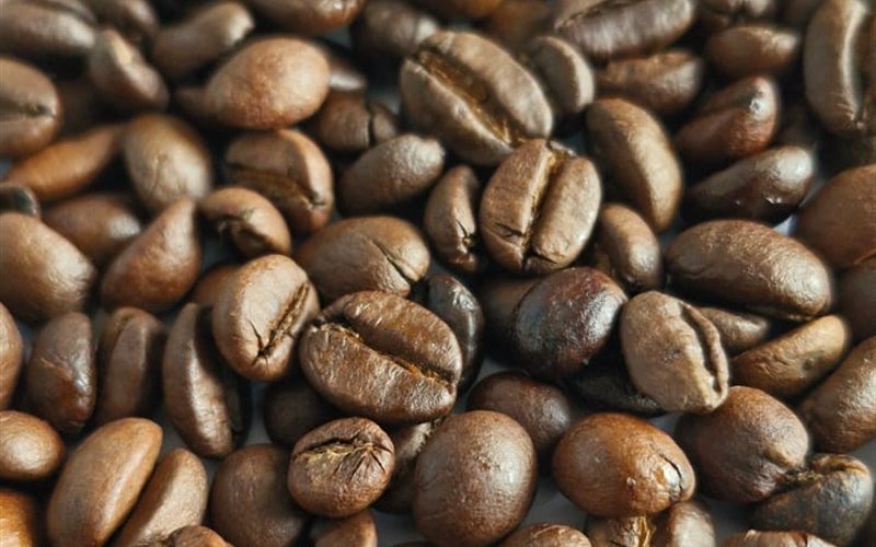 Indian coffee exporter from India - Arabica Robusta Plantation Cherry Monsoon Malabar Mysore Nuggets Kaapi Royale