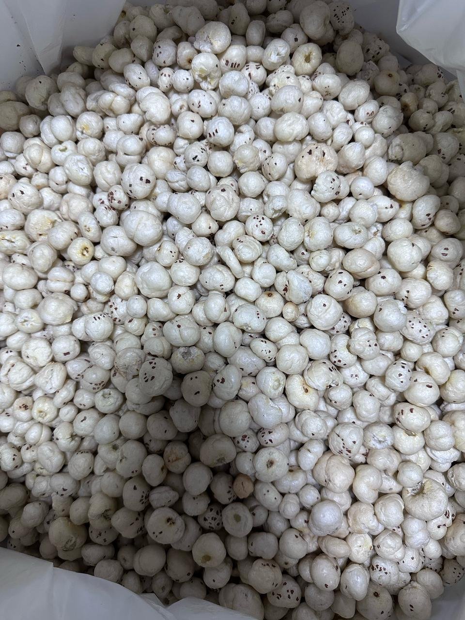 Premium Indian makhana fox nuts for export