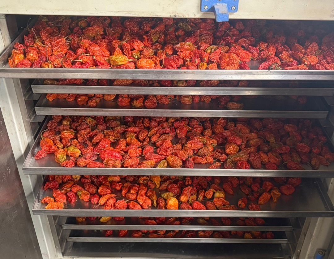 Machine dehydrated ghost pepper
